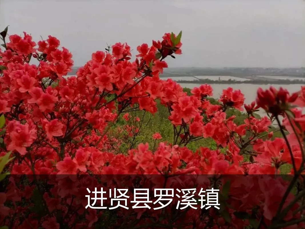 进贤县罗溪镇